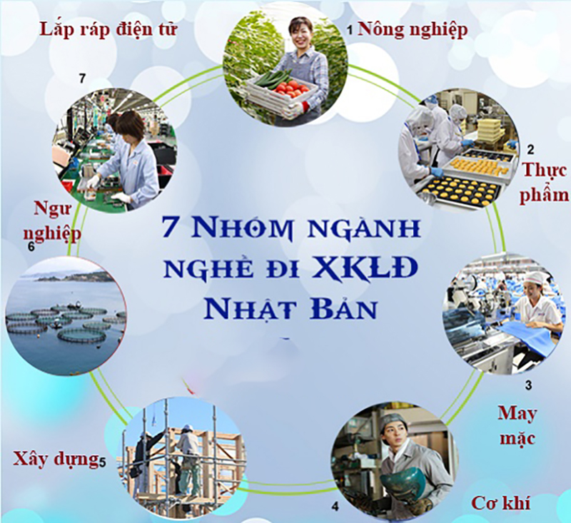 Đa dạng ngành nghề - Đa dạng đối tượng